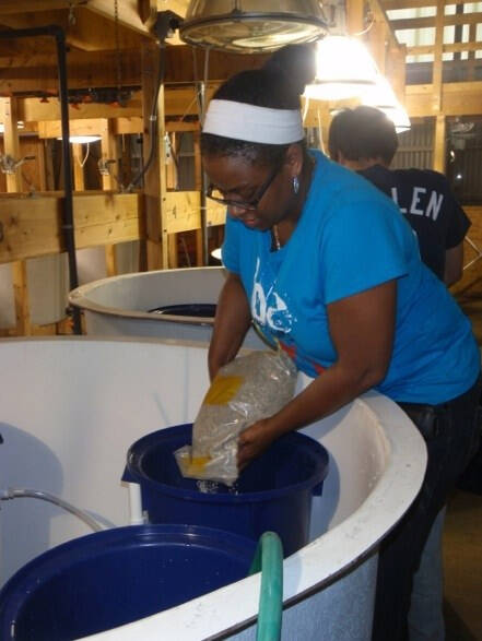 A technician pours sand into a plastic biofilter cannister.